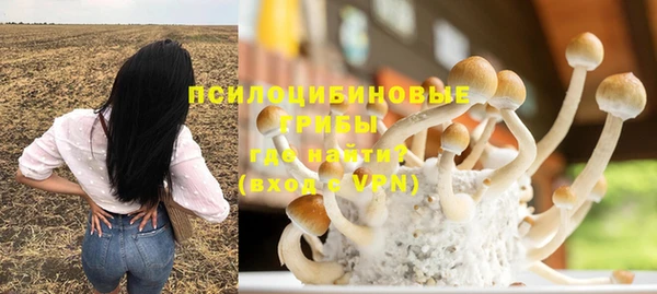 винт Алексин