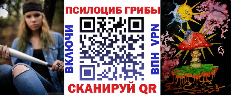 Галлюциногенные грибы мицелий  hydra сайт  Николаевск  закладка 